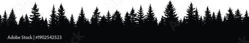 Silhouette of tall pine trees against a background tall trees tree silhouette forest nature