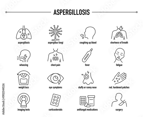 Aspergillosis symptoms, diagnostic and treatment vector icon set