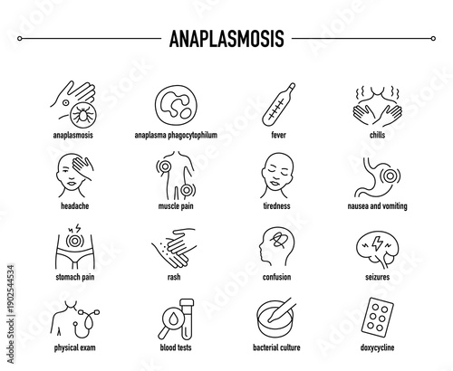 Anaplasmosis symptoms, diagnostic and treatment vector icon set