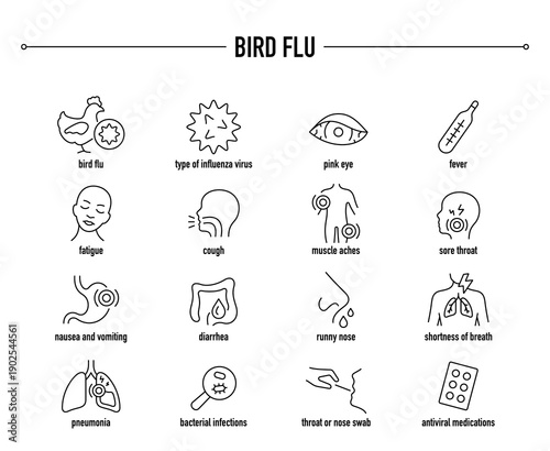 Bird Flu symptoms, diagnostic and treatment vector icon set