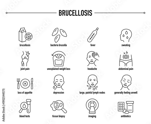 Brucellosis symptoms, diagnostic and treatment vector icon set