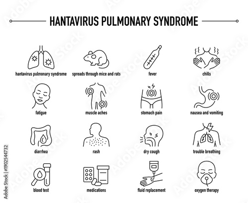 Hantavirus Pulmonary Syndrome symptoms, diagnostic and treatment vector icon set