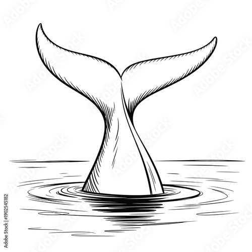Sketch of a whale tail emerging from the ocean surface