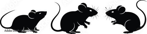Mouse silhouettes collection, small rodent animals in different standing and sitting poses, black mouse silhouettes isolated on white background