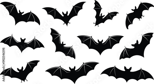 Flying bat silhouettes collection, nocturnal wildlife animals in different wing spread poses, black bat silhouettes isolated on white background