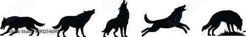 Wolf silhouette collection set, black wild canine poses including howling running jumping wolves, wildlife illustration isolated on white background vector