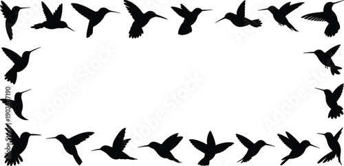 Hummingbird silhouette frame collection, flying bird shapes border design, black wildlife illustration isolated on white background vector set