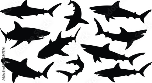 Shark silhouettes in dynamic swimming poses, black marine wildlife vector illustration set representing ocean predators, power, motion, and aquatic nature design