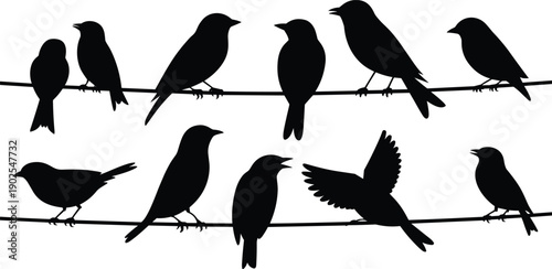 Black bird silhouettes on wire, minimalist songbird illustration, flying and perched birds, nature wildlife graphic design, isolated vector style