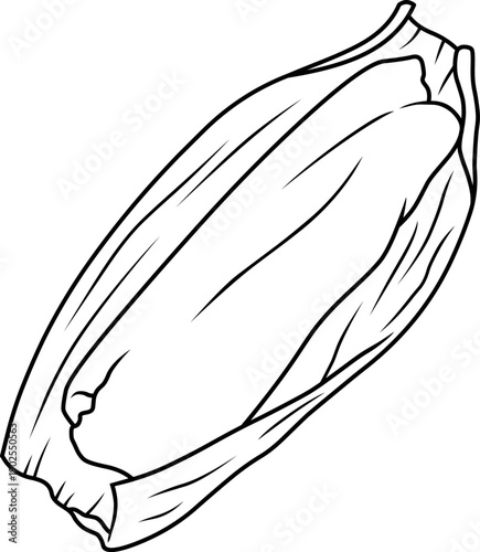 Black and white vector lineart of Mexican tamale with open corn husk revealing edible masa