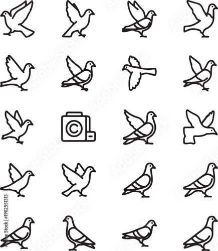 Dove and Pigeon Flying Line Icon Set Vector Collection