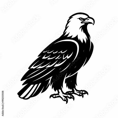 eagle vector illustration