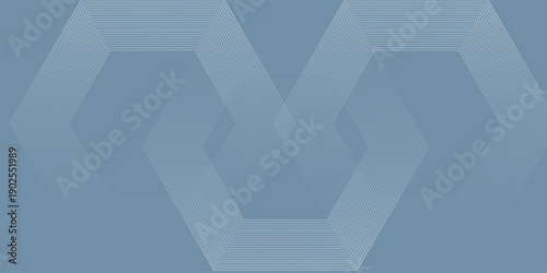 Digital abstract background hexagon lines on gray background. Futuristic digital network stripe line art design for poster, brochure, cover, website, banner. modern vector eps10