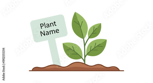 Sprouting plant with name tag on brown soil in minimalist style  