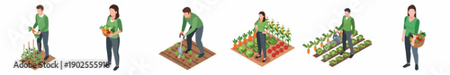 Isometric Detailed Illustration Showing Various Stages of Home Gardening Process