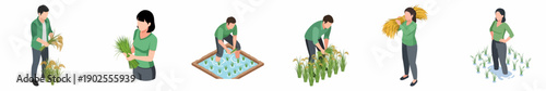 Isometric Detailed Farming and Agriculture Operations with Different Harvesting Crops Illustration