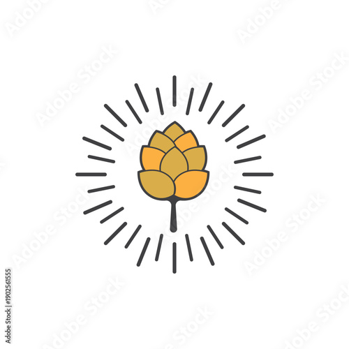 Beer craft vector illustration design image