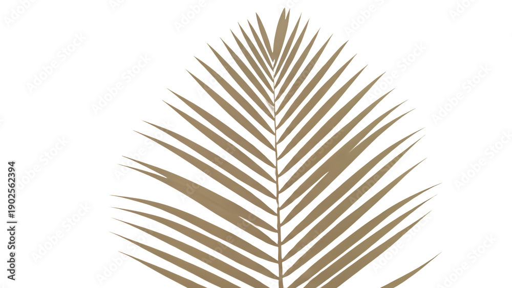 Fototapeta premium A close-up of a golden palm leaf with long, thin fronds on a clean background
