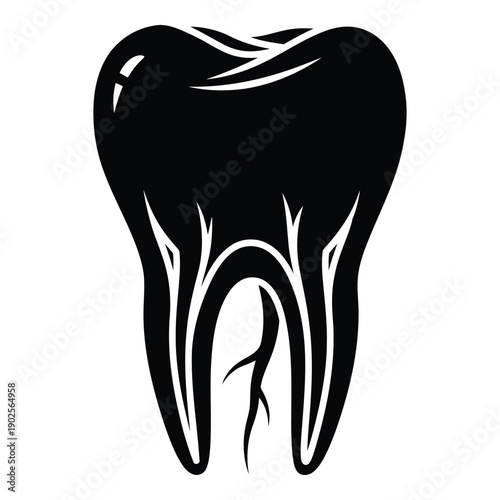 Detailed illustration of a molar tooth showing the internal structure and roots. isolated on white background, Vector