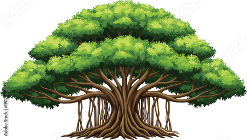 Big banyan tree vector illustration isolated green tropical forest plant with aerial roots detailed botanical nature design