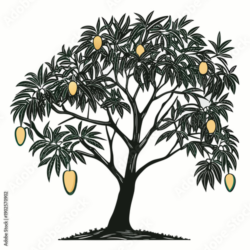Mango tree with green leaves and yellow fruits tropical tree 1