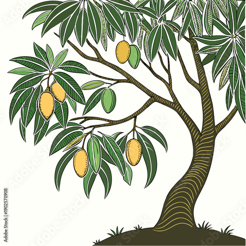Mango tree with ripe and unripe mangoes on branches