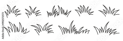Grass doodle ink brush sketch set, hand drawn vector grass field texture, grunge brush background, organic herb elements, nature pattern, botanical sketch, doodle vegetation