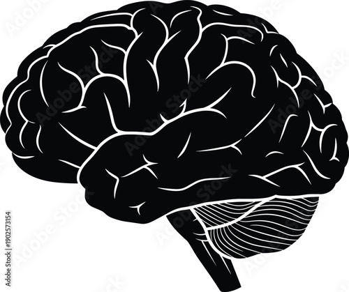 Human brain silhouette illustration showing detailed cerebral structure, medical anatomy and neuroscience concept in black and white minimalist style