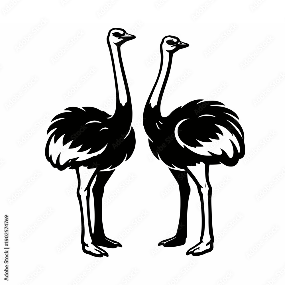 Naklejka premium Two Ostriches Standing Silhouette