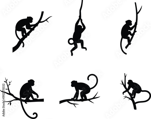 Monkey silhouette set showing climbing jumping and sitting poses on tree branches isolated black vector illustration wildlife design