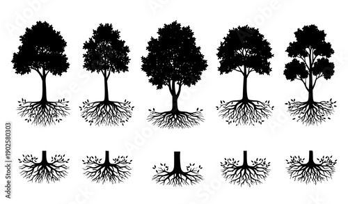 Diverse Tree Silhouettes with Roots and Fallen Leaves Botanical Nature Vector Set