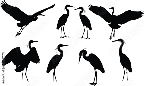 Vector Illustration Set of Black Heron or Crane Silhouettes Standing and Flying for Wetland Nature Wildlife and Aquatic Bird Designs