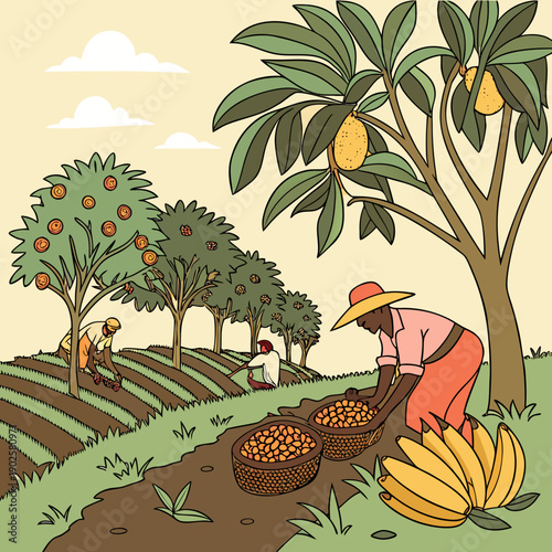 Tropical fruit farm with workers harvesting fruit bananas