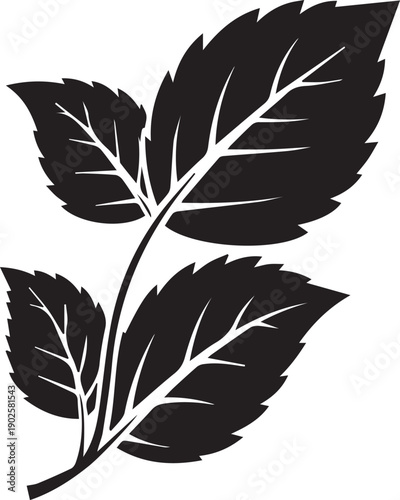 black silhouette of a single mint leaf sprig with white veins and serrated edges