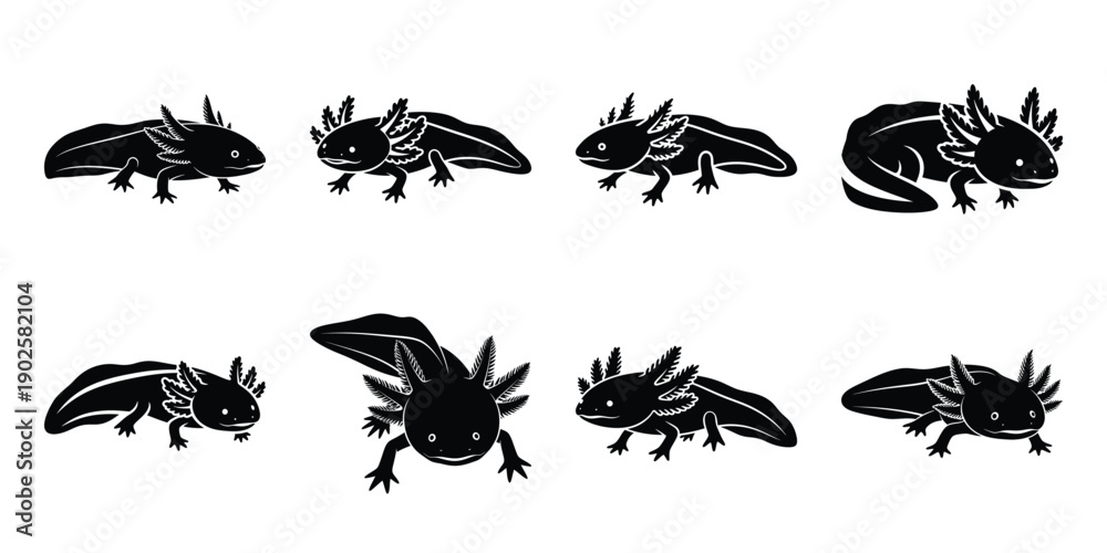Obraz premium Set of silhouette axolotl in various poses isolated on background. Animal Vector elements for design.