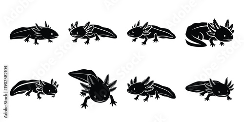 Set of silhouette axolotl in various poses isolated on background. Animal Vector elements for design.