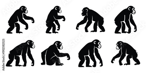 Set of silhouette chimpanzee in various poses isolated on background. Animal Vector elements for design.