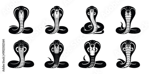 Set of silhouette cobra in various poses isolated on background. Animal Vector elements for design.