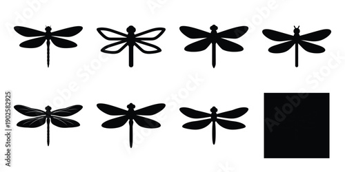 Set of silhouette dragonfly in various poses isolated on background. Animal Vector elements for design.