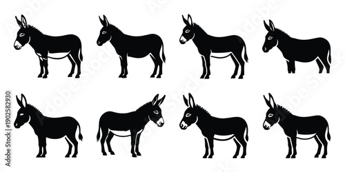 Set of silhouette donkey in various poses isolated on background. Animal Vector elements for design.
