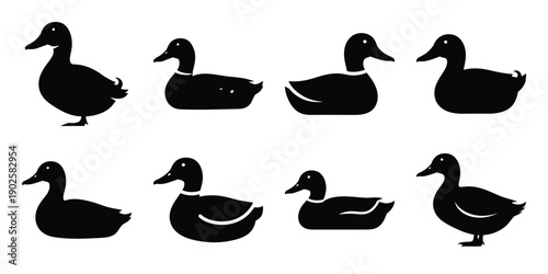 Set of silhouette duck in various poses isolated on background. Animal Vector elements for design.
