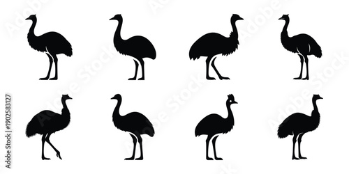 Photos Set of silhouette emu in various poses isolated on background