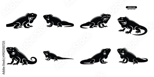 Set of silhouette iguana in various poses isolated on background. Animal Vector elements for design.