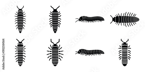Photos Set of silhouette millipede in various poses isolated on background