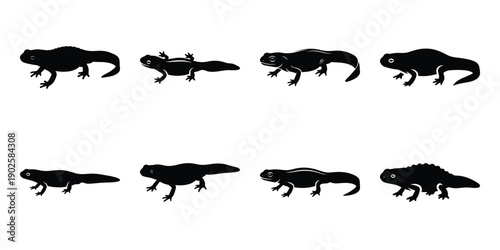 Set of silhouette newt in various poses isolated on background. Animal Vector elements for design.
