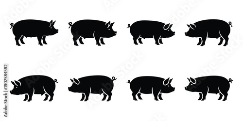 Set of silhouette pig in various poses isolated on background. Animal Vector elements for design.