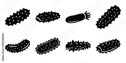 Set of silhouette sea cucumber in various poses isolated on background. Animal Vector elements for design.