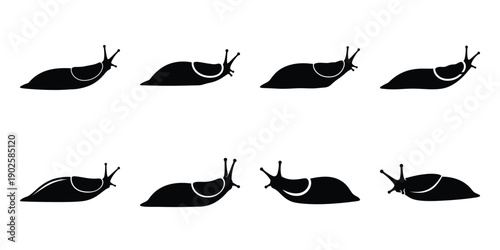Set of silhouette slug in various poses isolated on background. Animal Vector elements for design.