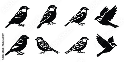 Canvas Print Set of silhouette sparrow in various poses isolated on background