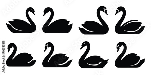 Set of silhouette swan in various poses isolated on background. Animal Vector elements for design.